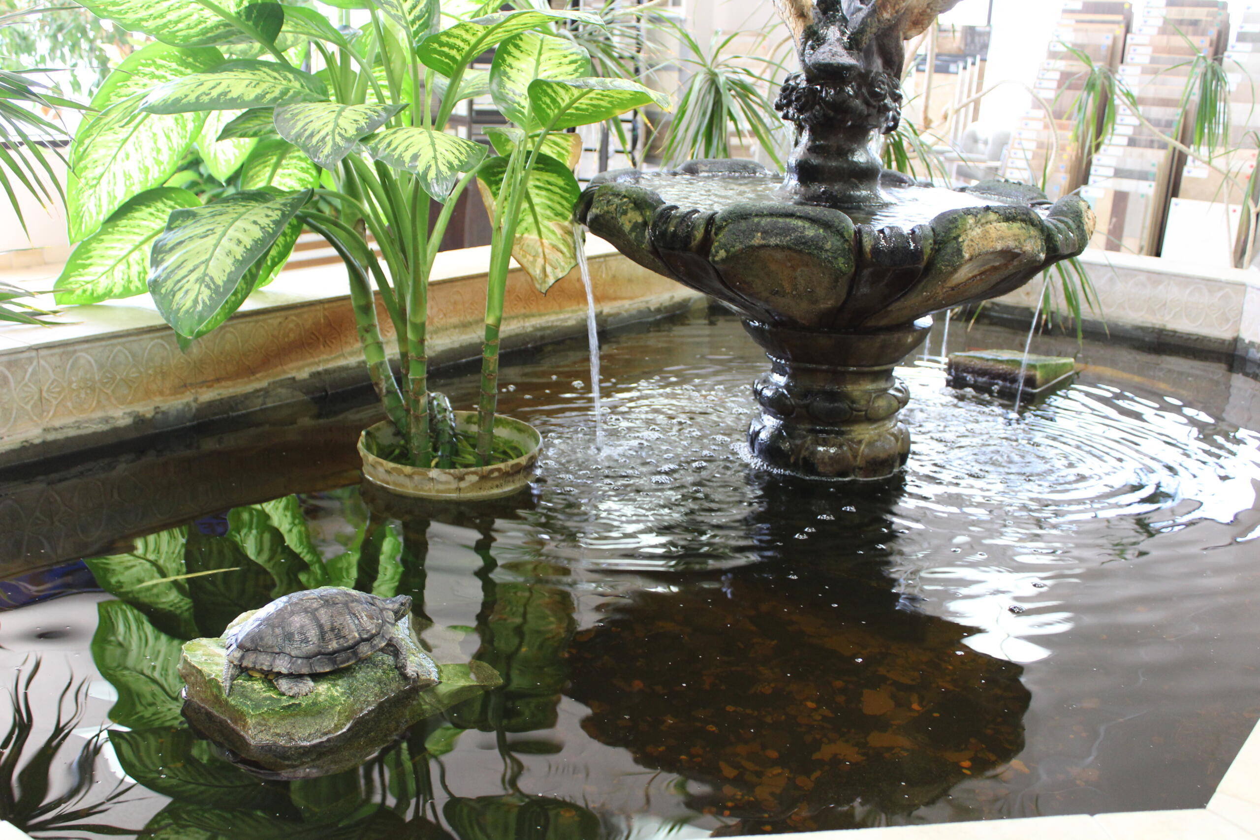 IBest-Way Carpets Store_MG_2036